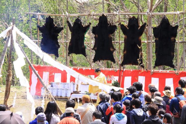 Kuma Matsuri (Bear Festival)