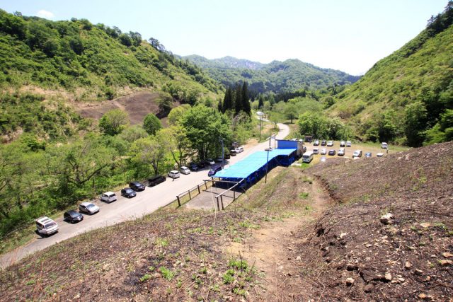 観光わらび園開園