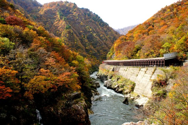 Akashiba Kyo (Akashiba Gorge)