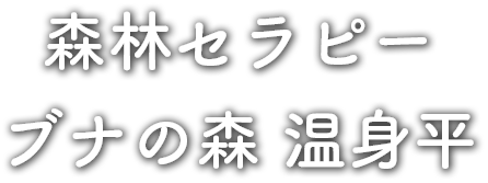 森林セラピー ブナの森 温身平