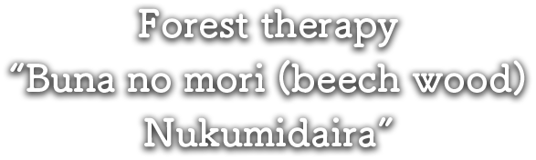 Forest therapy “Buna no mori (beech wood) Nukumidaira”